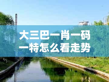大三巴一肖一码一特怎么看走势，有金有土可发财，及7777788888新奥精准新传真,小心误导宣传风险-保障分析、解释与落实