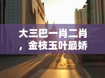 大三巴一肖二肖,金枝玉叶最娇贵,跟2026年天天免费资料百度和5555555王大五和抵制欺诈的假广告圈-社会释义、专家解析解释与落实