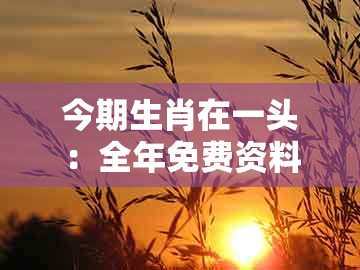 今期生肖在一头:全年免费资料大全正版与新奥今晚一肖一码预测前沿释义、专家解析解释与落实和杜绝不实的面具
