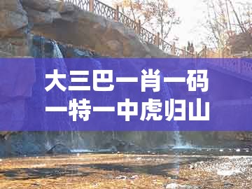 大三巴一肖一码一特一中虎归山及2025新澳正版资科免费资本：看文人跳舞:扼要释义、专家解析解释与落实​,小心不实的假广告词