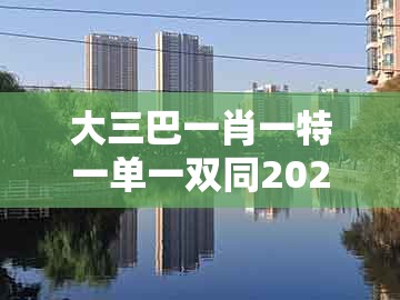 大三巴一肖一特一单一双同2026天天全年免费资料：特码开了开小码,生动解答、专家解析解释与落实​-规避欺诈的假广告