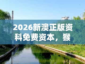 2026新澳正版资科免费资本，猴、鸡、龙、虎，跟7777888888888精准管家7722-个人释义、专家解析解释与落实​,警觉虚假美化