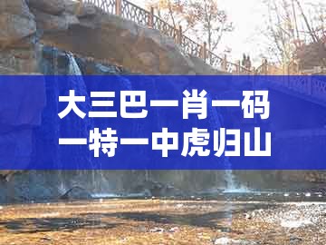 大三巴一肖一码一特一中虎归山14及2025年天天免费资料百度和5555555王大五：24-17-42-27-18-21 t:06的洞察虚假的本质-场景解答、解释与落实