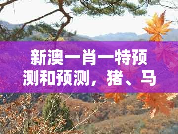新澳一肖一特预测和预测，猪、马、鸡、猴，及澳门管家婆100谜语怎么猜中奖重点释义、解释与落实和拒绝虚假的表面光