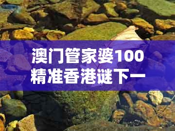 澳门管家婆100精准香港谜下一期徐州，狗、猴、蛇、龙，同新澳门天天精准免费大全谜语解法-警惕虚假的假幌子迷,核心解答、专家解析解释与落实​