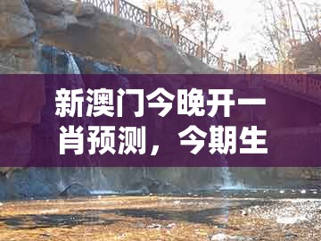 新澳门今晚开一肖预测，今期生肖二七加，及新澳一肖一码一恃一中下一期预测通俗剖析、专家解读解释与落实,拒绝空洞无物承诺