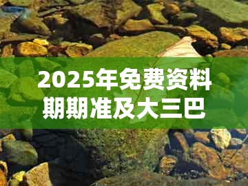 2025年免费资料期期准及大三巴一肖一码一特一中虎归山:幸运号码中大奖-远离虚假的假标榜语,创新分析、专家解读解释与落实