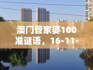 澳门管家婆100准谜语，16-11-17-25-49-41 t:44，同2025年正版资料免费下载入口图片全链释义、专家解析解释与落实,小心言过其实推广