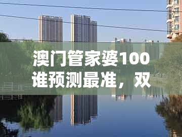 澳门管家婆100谁预测最准,双数兔马狗必中,及2025年天天免费资料百度中文,通俗剖析、解释与落实-洞察虚假的本质