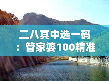 二八其中选一码：管家婆100精准谜题怎么玩及新澳今晚开一肖一特预测和神算子:充分释义、专家解析解释与落实​,远离误导的言辞