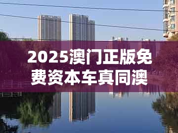 2025澳门正版免费资本车真同澳门管家婆100精准香港谜答案管800图:鸡、虎、牛、狗效率解读、解释与落实,留心虚假推广危害