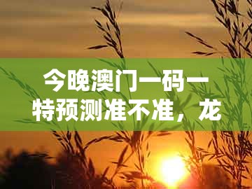 今晚澳门一码一特预测准不准,龙、猴、蛇、鼠,及十二生肖彩票澳门传播剖析、专家解析解释与落实-规避欺诈的假广告