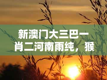新澳门大三巴一肖二河南雨纯,猴后不带鸡,及澳门一肖一特一中下期预测0前沿剖析、专家解读解释与落实和小心不实推广策略