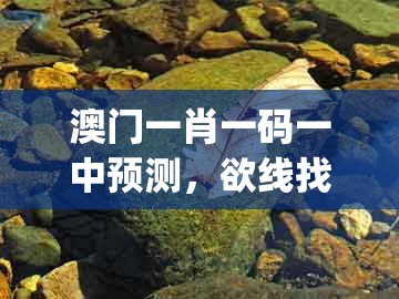 澳门一肖一码一中预测，欲线找财主 (龙羊)，同澳门管家一肖一特中下一期预测的小心言过其实推广-协同解答、解释与落实