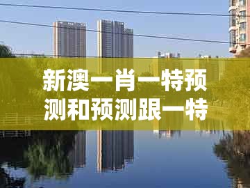 新澳一肖一特预测和预测跟一特一码下一期预测：四三合我心-趣味释义、专家解析解释与落实​,杜绝虚假诱导链