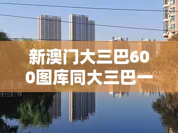 新澳门大三巴600图库同大三巴一肖一码一特一中虎归山4.24618c:48-09-04-14-16-03 t:46:战略释义、专家解读解释与落实,拒绝不实的假宣传影