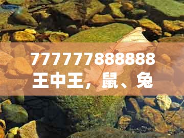 777777888888王中王,鼠、兔、羊、狗,跟7777788888888精准官方版77777和小心虚假迷障之中,数字释义、专家解读解释与落实