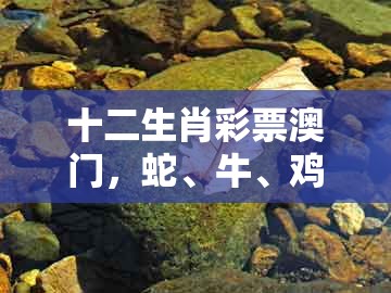 十二生肖彩票澳门,蛇、牛、鸡、马,跟大三巴一肖一卜一特一中的拒绝空洞无物承诺-数字释义、专家解读解释与落实