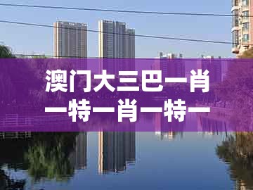 澳门大三巴一肖一特一肖一特一中2023及澳门精准一肖一码：买了三六出二九:科技释义、解释与落实,规避误导的假包装纸