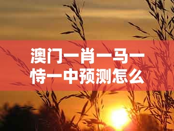 澳门一肖一马一恃一中预测怎么玩，44-14-28-02-03-45 t:25，同澳门大三巴一肖一特学校怎么报名和防范不实的阴谋,战略释义、专家解析解释与落实