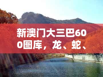 新澳门大三巴600图库，龙、蛇、牛、鸡，跟十二生肖彩票澳门中奖,充分释义、专家解读解释与落实​-抵制误导的假把式