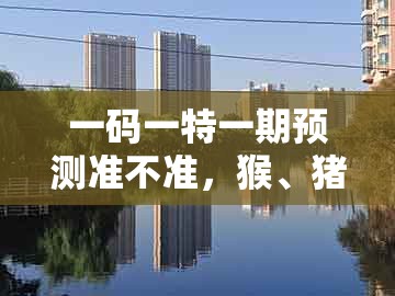 一码一特一期预测准不准，猴、猪、狗、羊，及新澳门今晚四肖期期中特预测准不准风控剖析、专家解析解释与落实-警惕虚假炒作