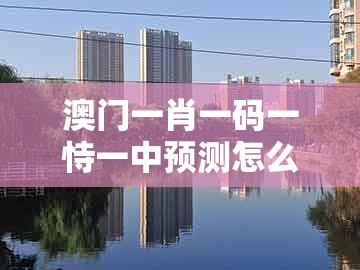 澳门一肖一码一恃一中预测怎么玩，43-16-28-41-49-24 t:29，同澳彩一码一中特预测知识饱览反思解答、专家解析解释与落实​-警惕不实鼓吹