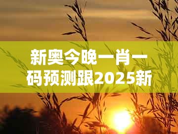 新奥今晚一肖一码预测跟2025新澳正版资科免费资本：10-13-49-32-25-17 t:40,警惕诱导性陷阱-升级分析、专家解读解释与落实