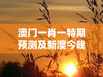 澳门一肖一特期预测及新澳今晚开一肖一特预测和神算子：北方歌谣南方调和谨防虚假包装,实用释义、解释与落实