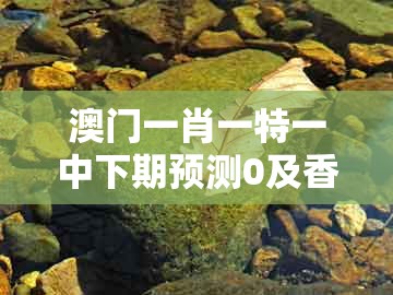 布从筠