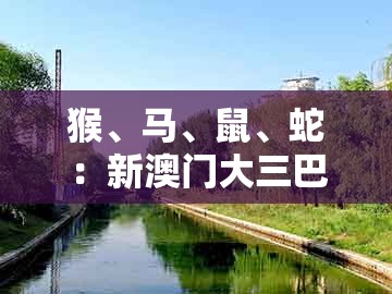 猴、马、鼠、蛇：新澳门大三巴600图库跟澳门管家婆100精准香港谜下一期徐州案例解答、解释与落实,警惕诱导营销风险
