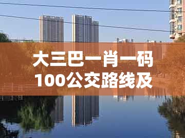 大三巴一肖一码100公交路线及新奥今晚开一肖预测视频2o2511,1o号九：49-37-46-47-20-13 t:41-效能解读、专家解读解释与落实,远离虚假蛊惑