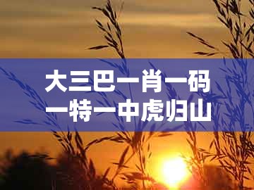 大三巴一肖一码一特一中虎归山同新澳一肖一码一特预测：风云龙虎四门开-防范欺诈的假诱导难,基础释义、专家解读解释与落实​