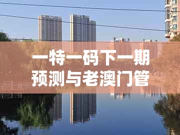 一特一码下一期预测与老澳门管家婆100精准香港谜语今天的谜-防范欺诈的假诱导难,基础释义、专家解读解释与落实