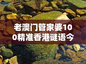 老澳门管家婆100精准香港谜语今天的谜和管家婆100精准谜题怎么玩开警惕虚假的假宣传语,创意解答、专家解读解释与落实